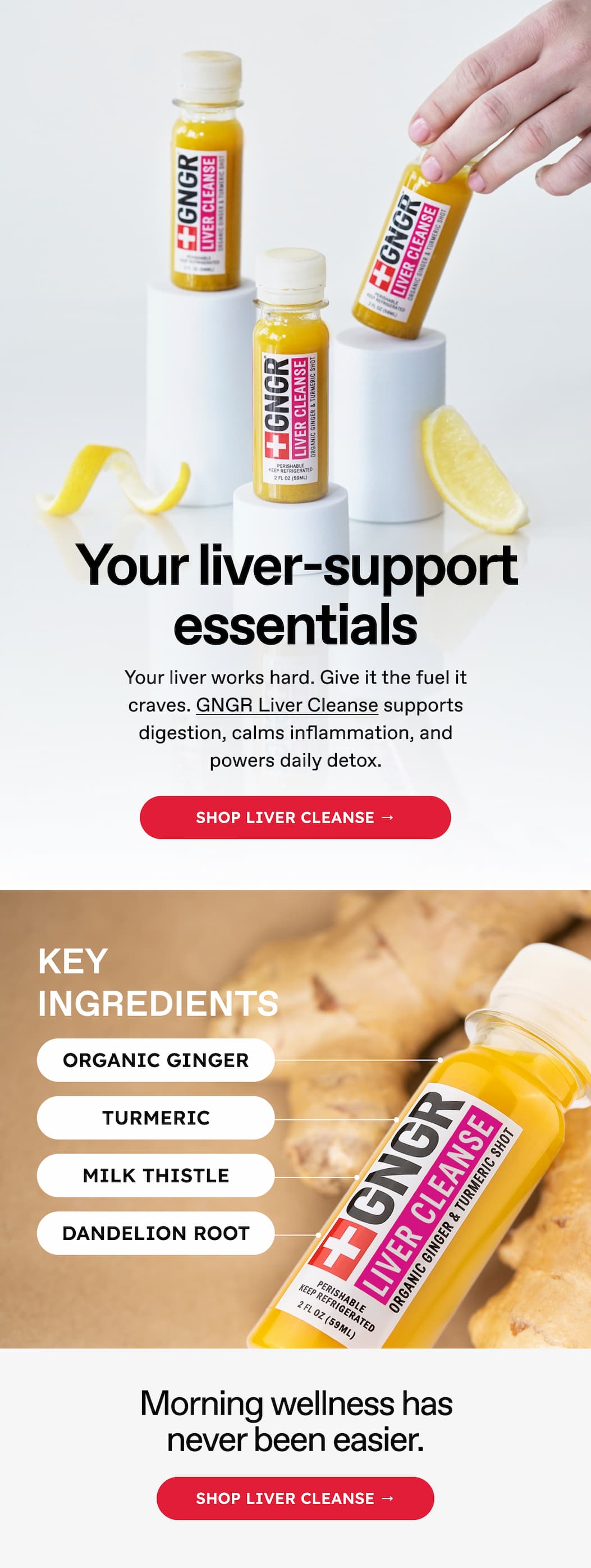 Your liver-support essentials. Your liver works hard. Give it the fuel it craves. GNGR Liver Cleanse supports digestion, calms inflammation, and powers daily detox. Shop Liver cleanse → KEY INGREDIENTS: ORGANIC GINGER. TURMERIC. MILK THISTLE. DANDELION ROOT. Morning wellness has never been easier. SHOP LIVER CLEANSE →