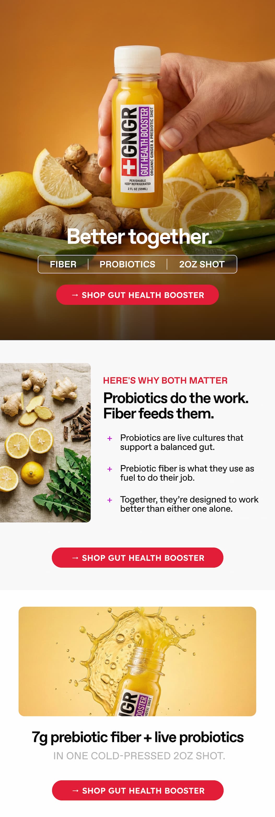 Better Together. Fiber Probiotics 2oz Shot → Shop Gut Health Booster. Here's Why Both Matter. Probiotics Do The Work. Fiber Feeds Them. + Probiotics Are Live Cultures That Support A Balanced Gut. + Prebiotic Fiber Is What They Use As Fuel To Do Their Job. + Together, They're Designed To Work Better Than Either One Alone. → Shop Gut Health Booster. 7g Prebiotic Fiber + Live Probiotics In One Cold-Pressed 2oz Shot. → Shop Gut Health Booster