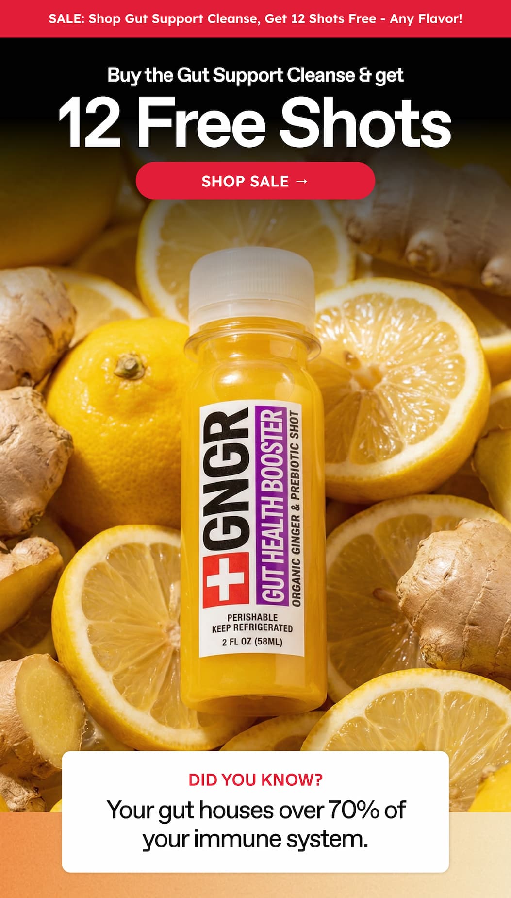 Sale: Shop Gut Support Cleanse, Get 12 Shots Free - Any Flavor! Buy The Gut Support. Cleanse & Get. 12 Free Shots. Shop Sale → Did You Know? Your Gut Houses Over 70% Of Your Immune System.