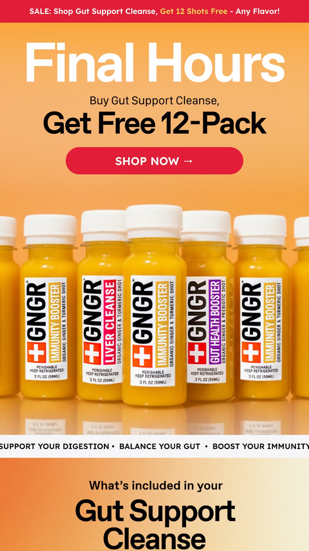 Sale: Shop Gut Support Cleanse, Get 12 Shots Free - Any Flavor! Final Hours. Buy Gut Support Cleanse. Get Free 12-Pack. Shop Now → Support Your Digestion •  Balance Your Gut  •  Boost Your Immunity. What's Included In Your Gut Support Cleanse.