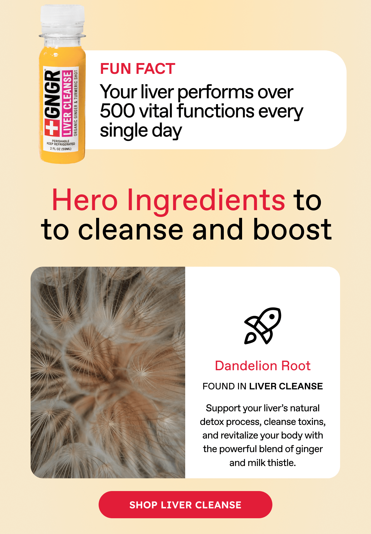GNGR - Liver Cleanse