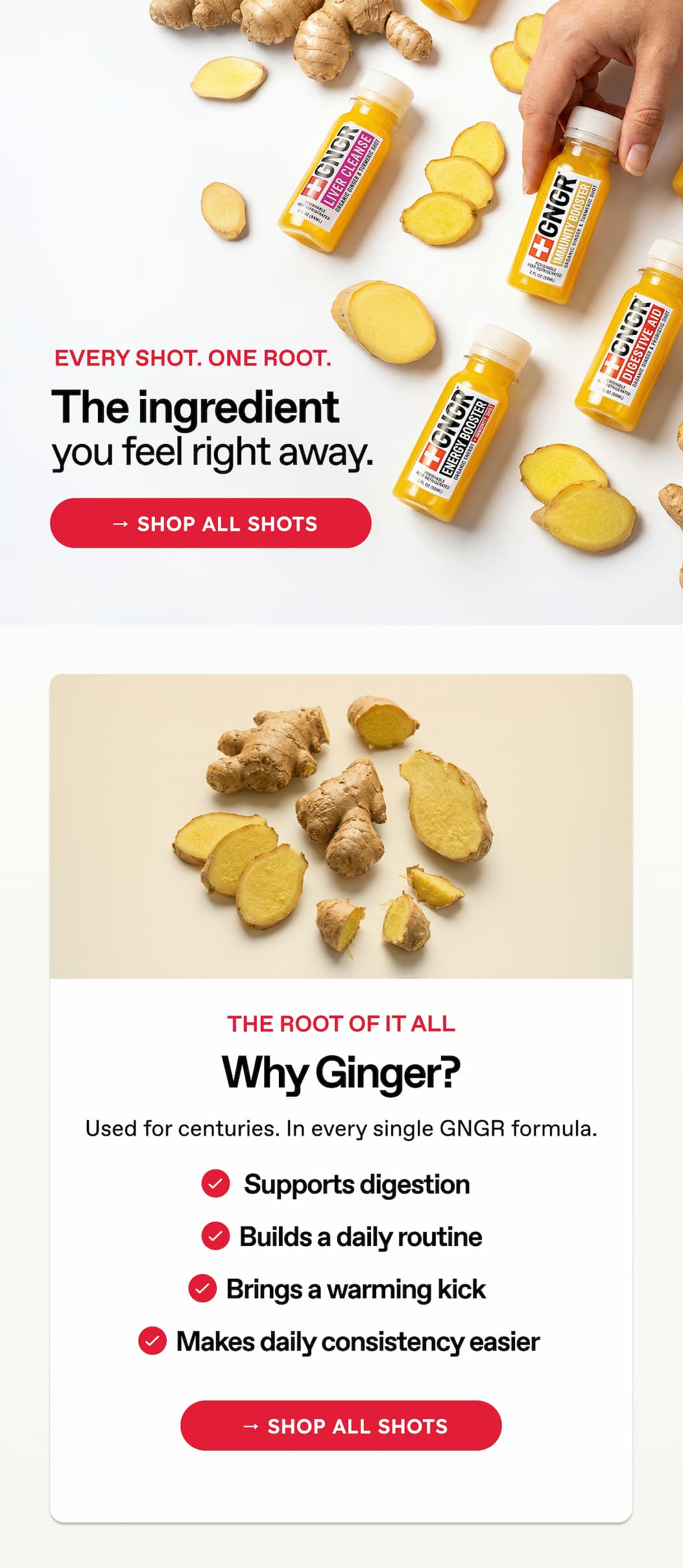 Every Shot. One Root. The Ingredient You Feel Right Away. → Shop All Shots. The Root Of It All. Why Ginger? Used For Centuries. In Every Single Gngr Formula. Supports Digestion. Builds A Daily Routine. Brings A Warming Kick. Makes Daily Consistency Easier → Shop All Shots