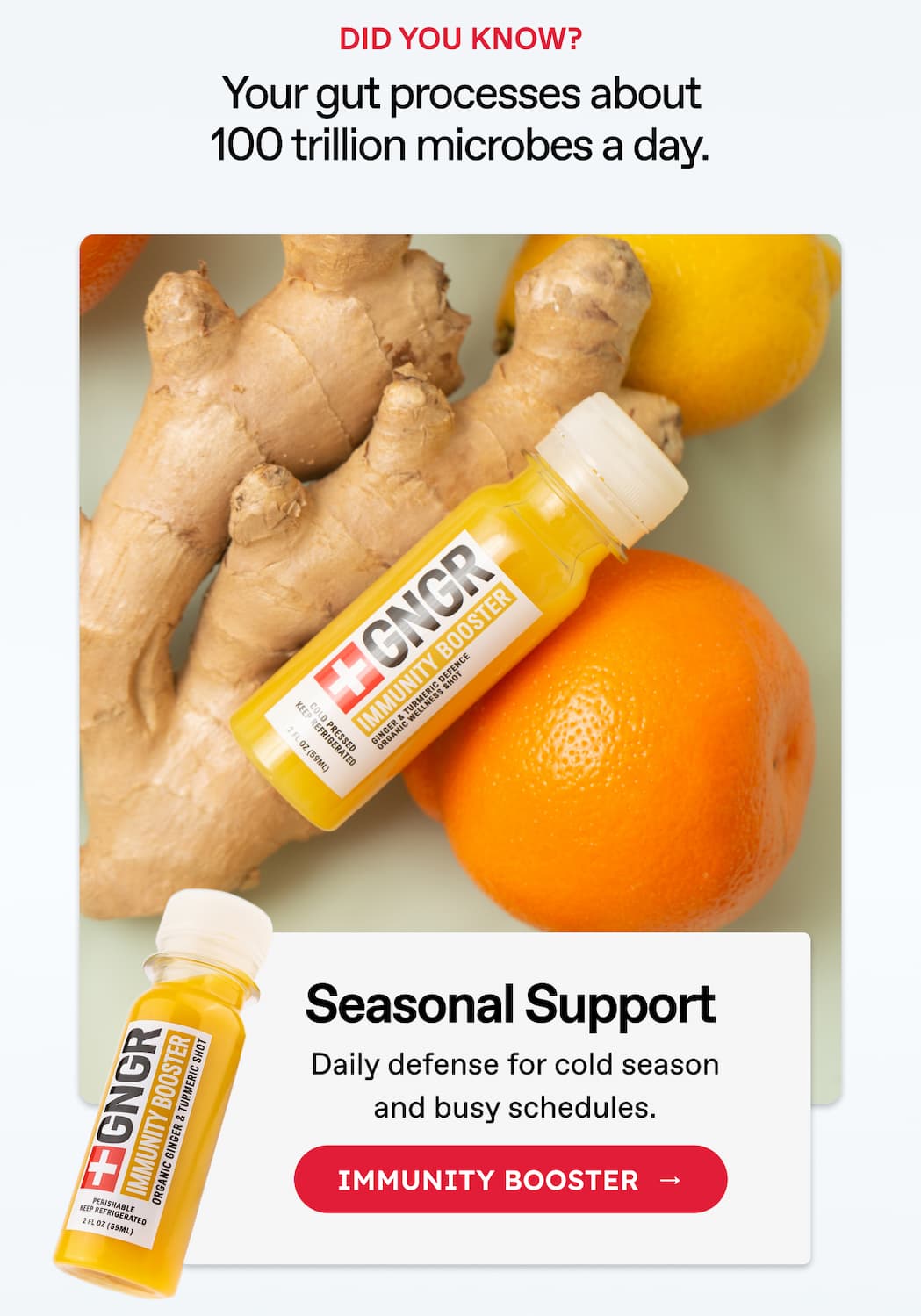 Did You Know? Your Gut Processes About 100 Trillion Microbes A Day. Seasonal Support. Daily Defense For Cold Season And Busy Schedules. Immunity Booster  →
