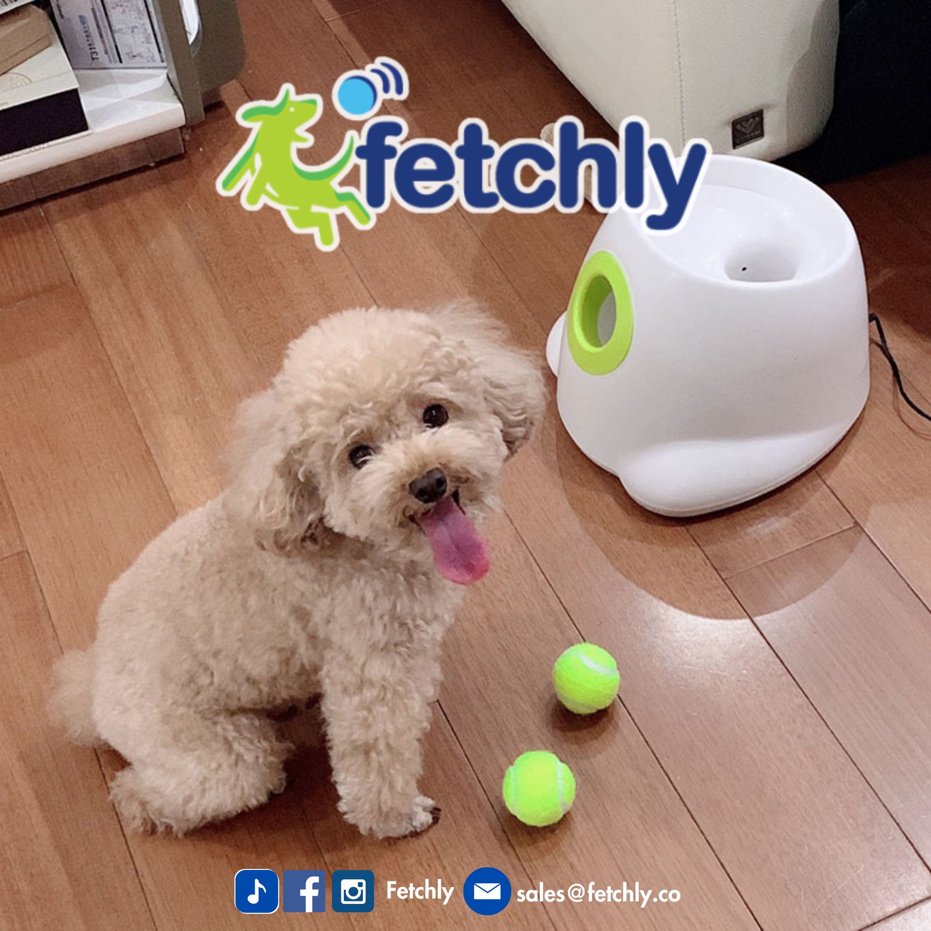 Fetchly Automatic Tennis Ball Launcher