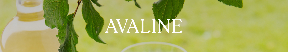 Avaline x Thistle
