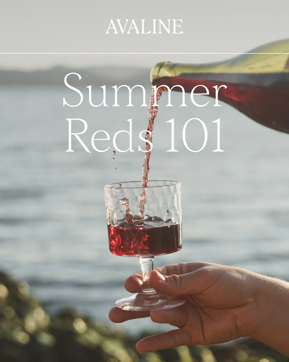 Summer Reds 101