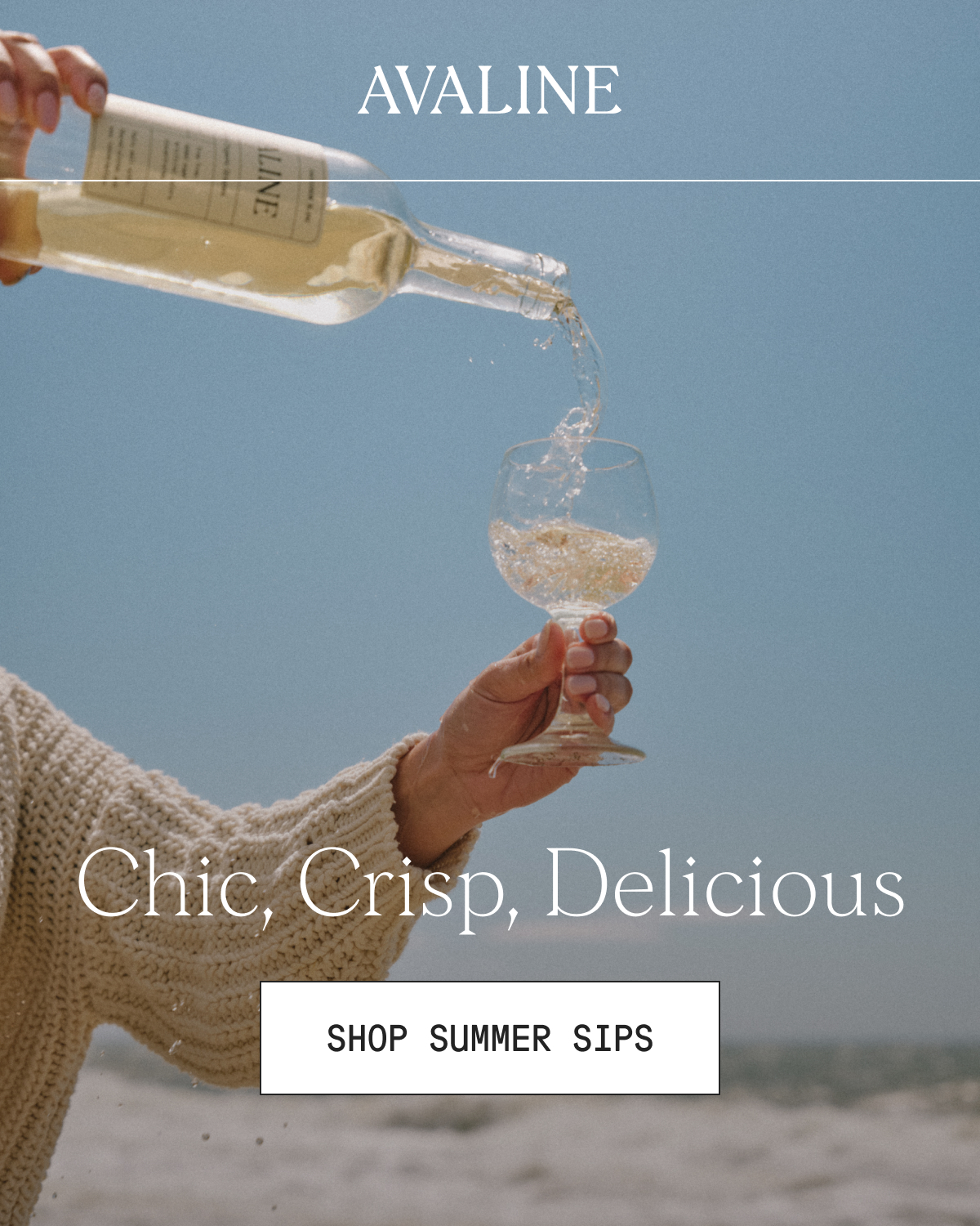 Shop Summer Sips