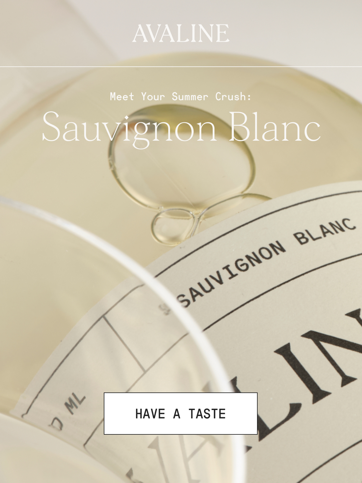 Meet Your Summer Crush: Sauvignon Blanc