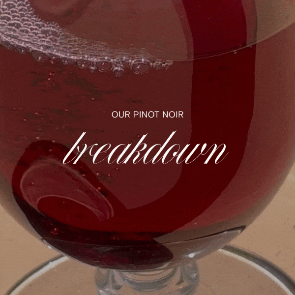 Our Pinot Noir Breakdown