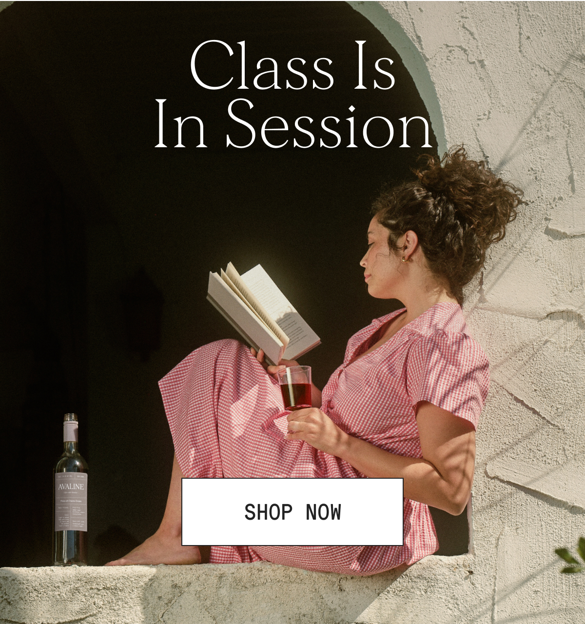 Shop Now