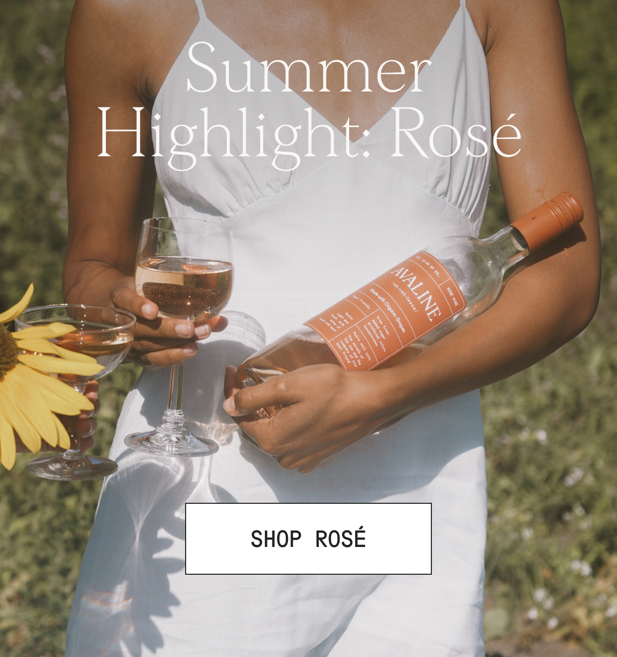 Summer Highlight: Rosé