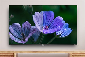 TVs