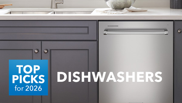 DISHWASHERS