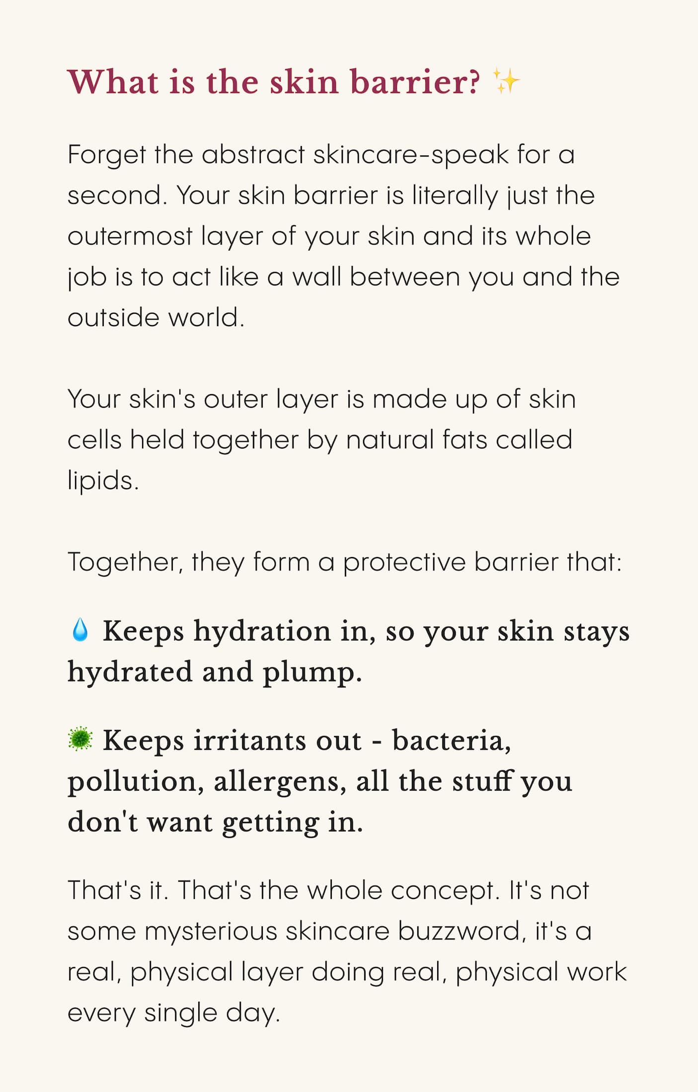 What is the skin barrier? ✨
