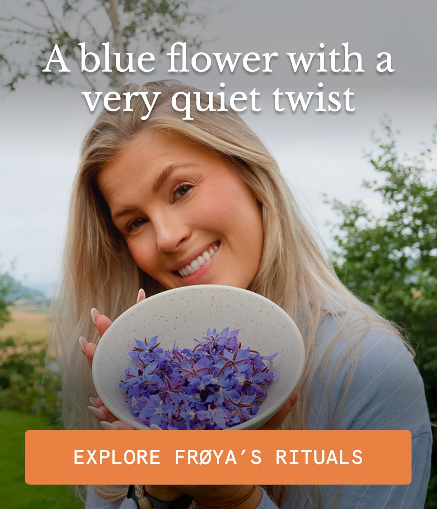 A blue flower with a very quiet twist