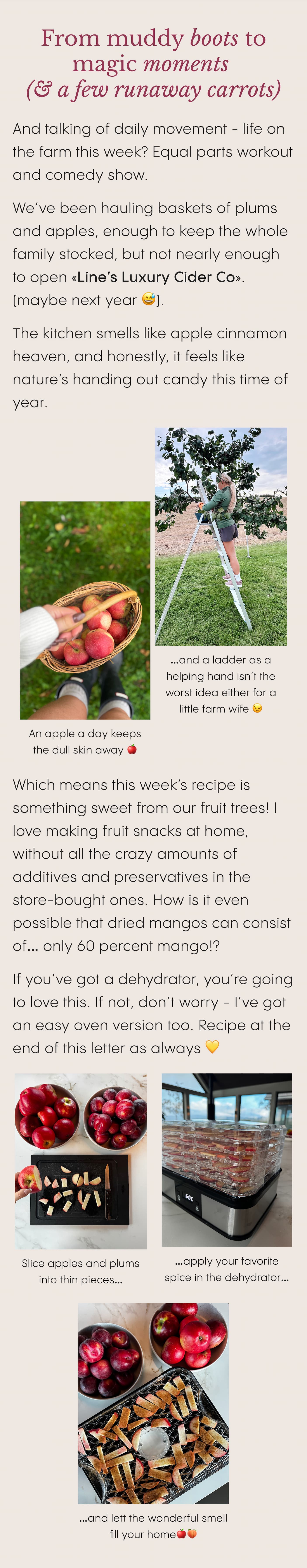 From muddy boots to magic moments 