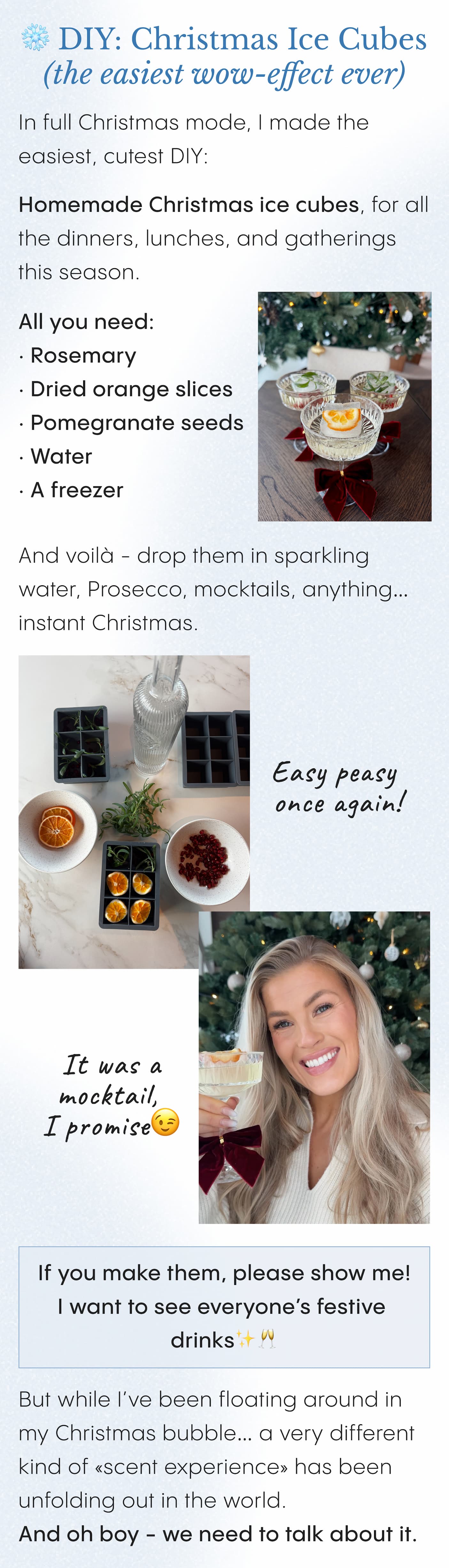 ❄️ DIY: Christmas Ice Cubes (the easiest wow-effect ever)