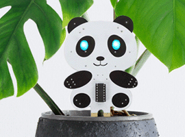 Panda Plant Guardian
