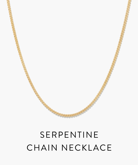 Serpentine Chain Necklace