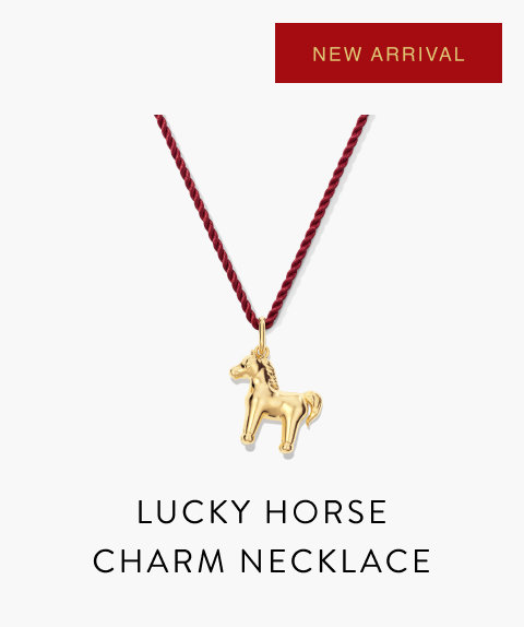 Lucky Horse Charm Necklace.