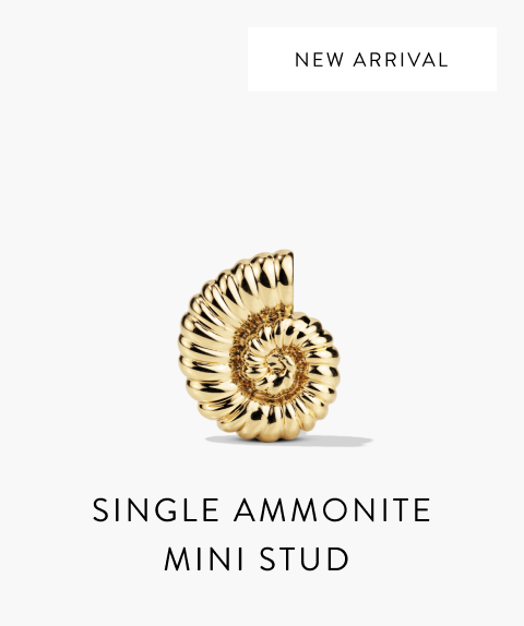 Single Ammonite Mini Stud.