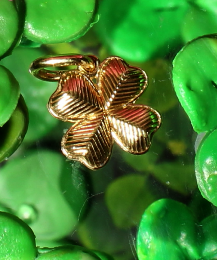 Feeling Lucky Charm.