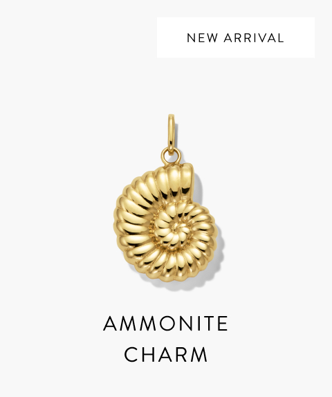 Ammonite Charm.