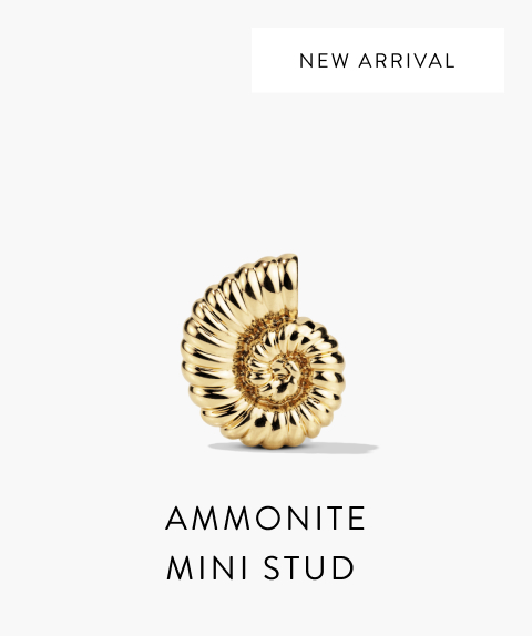 Ammonite Mini Stud.