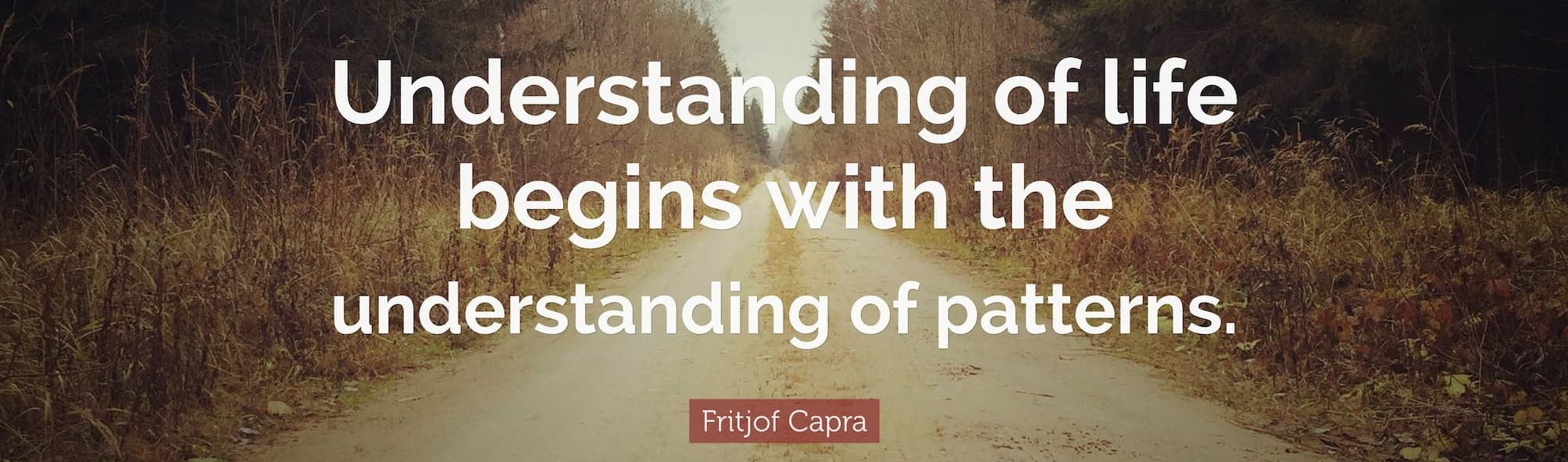 Understanding patterns