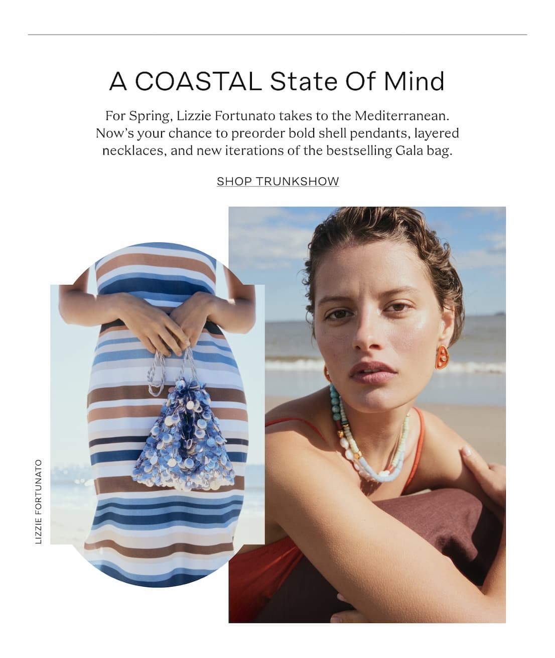 lizziefortunatoimg lizziefortunatoimg