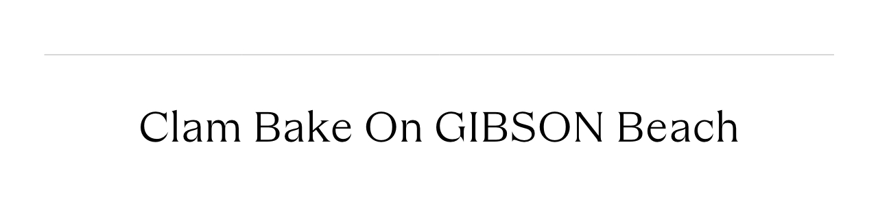 gibson_img3