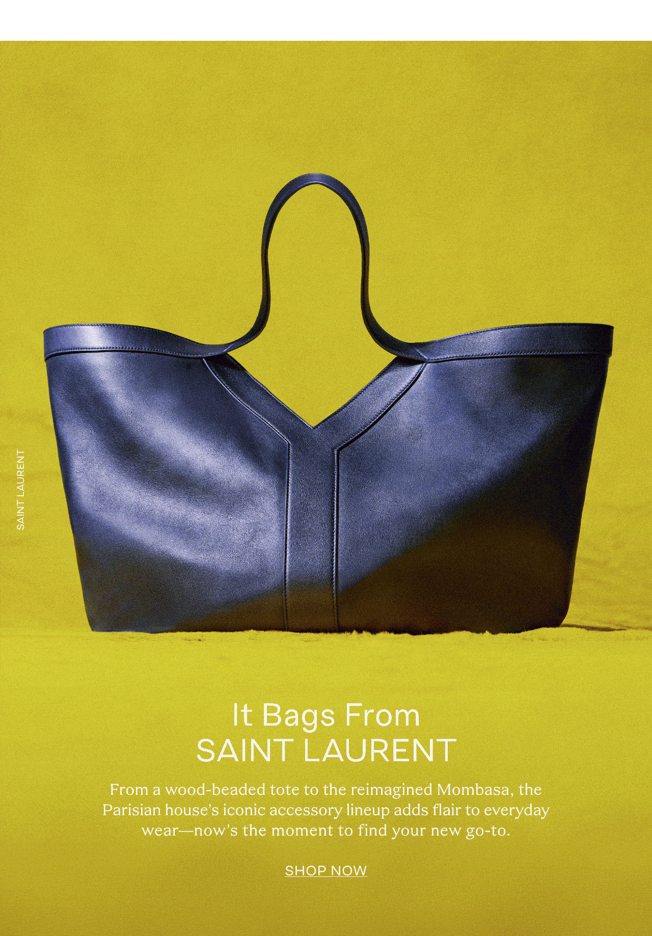 saintlaurentbags_gif