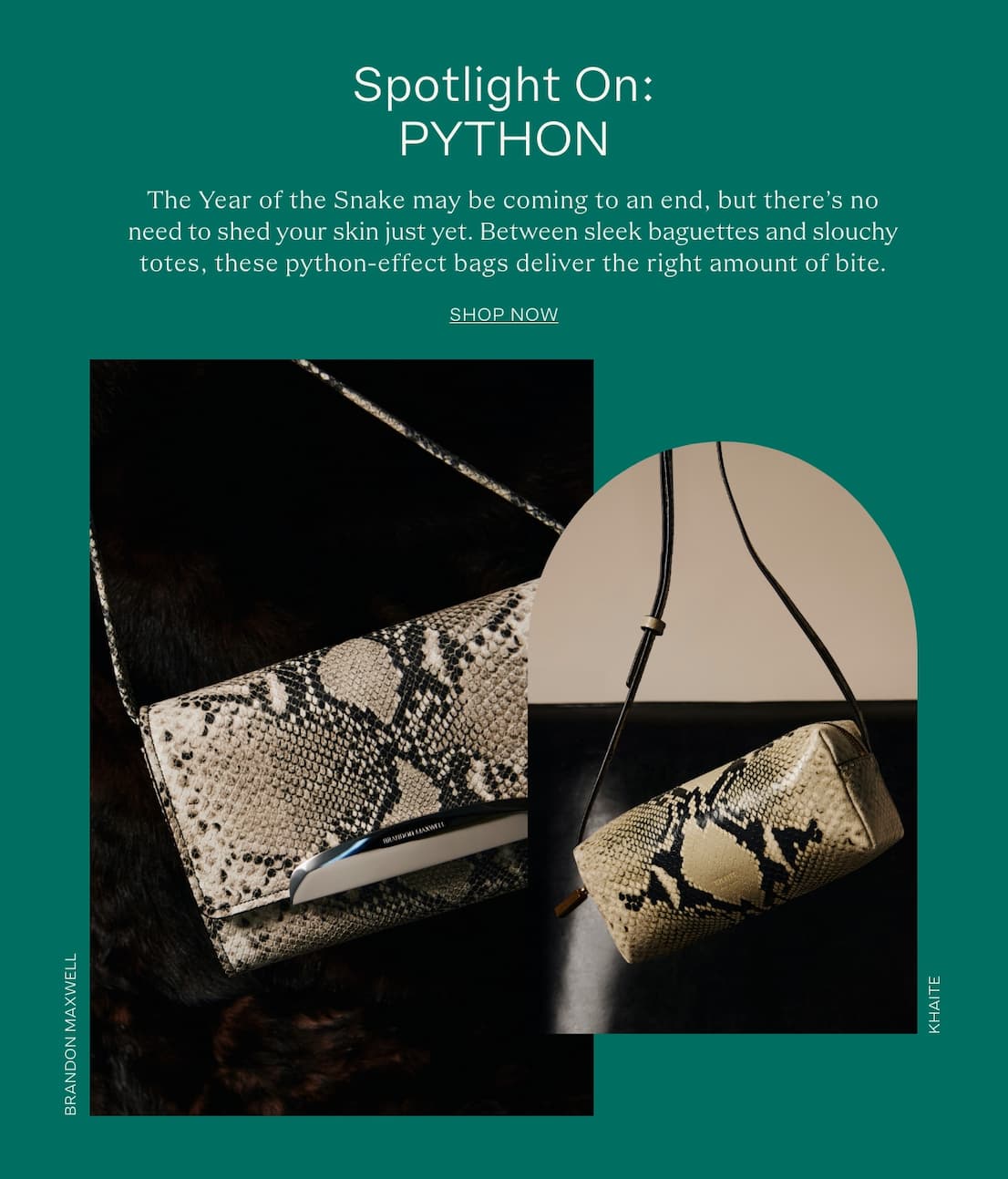 pythonbags