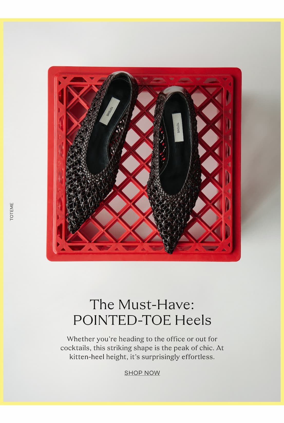 pointedtoeheels_img