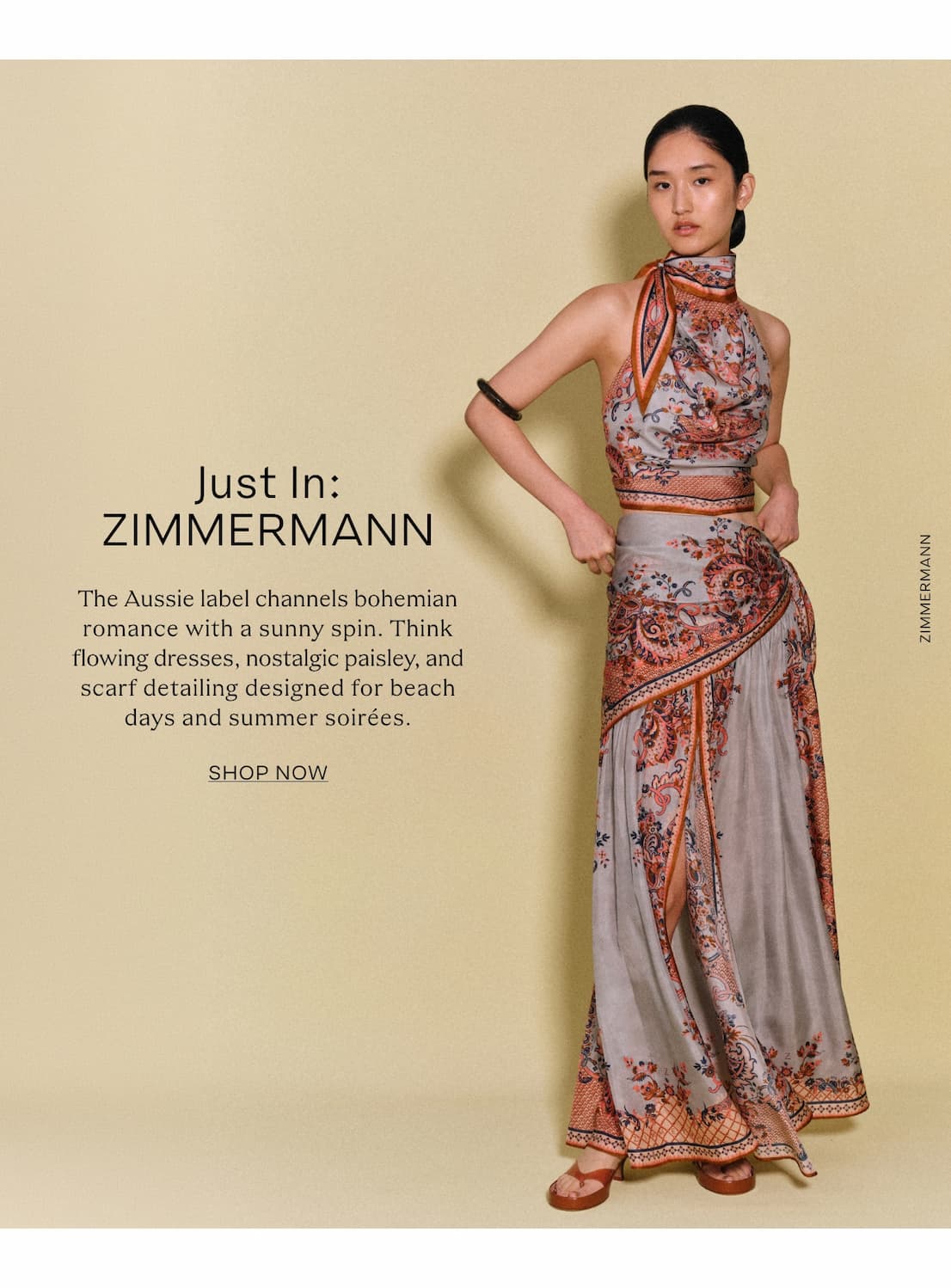 zimmermann_img