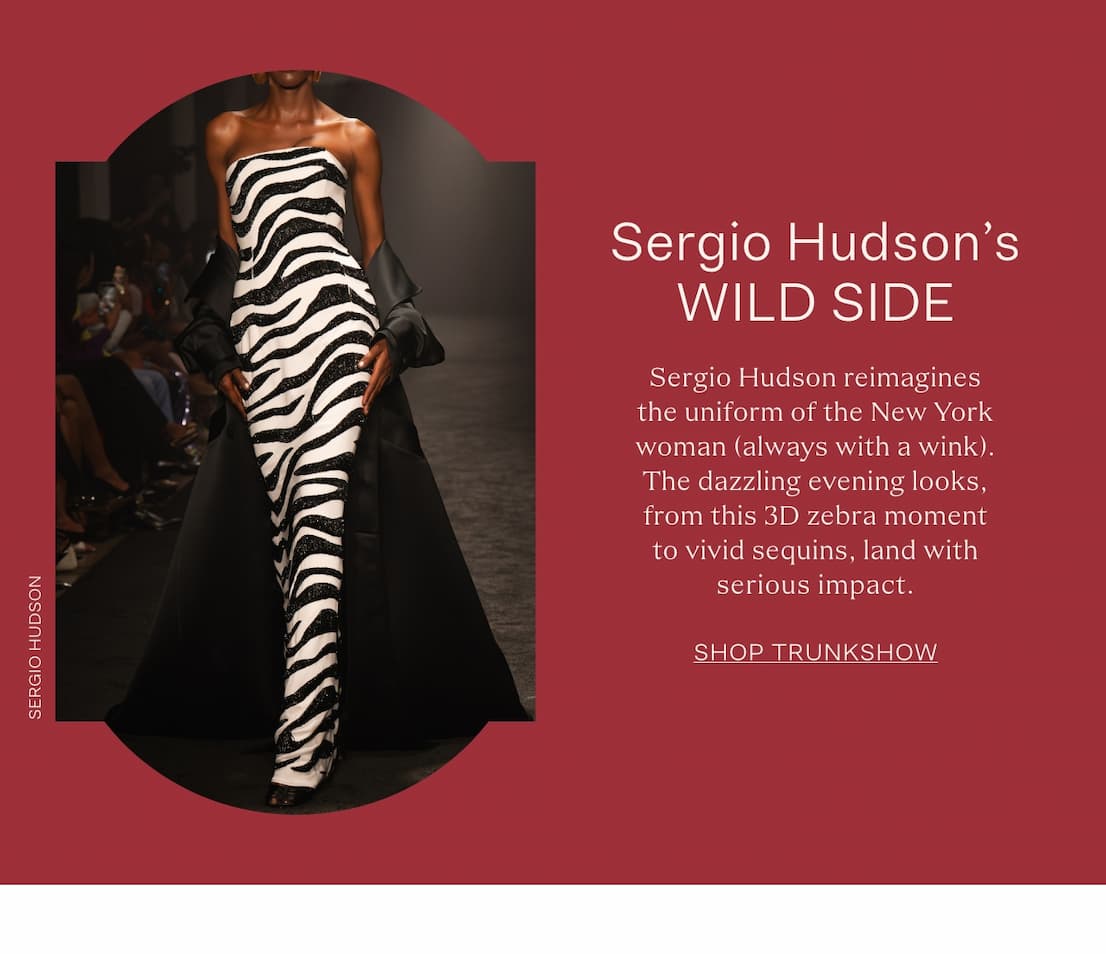 sergiohudsonimg