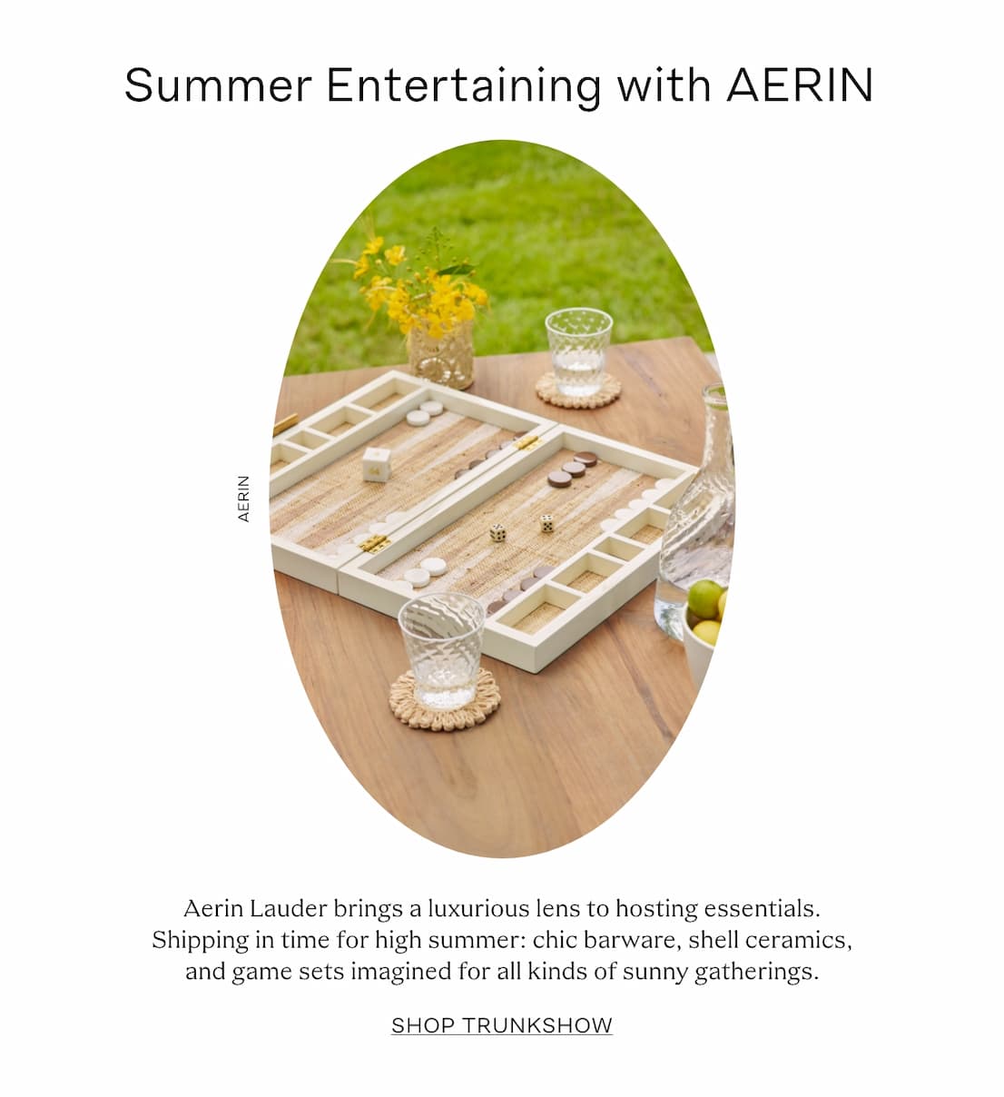 aerinss26_img