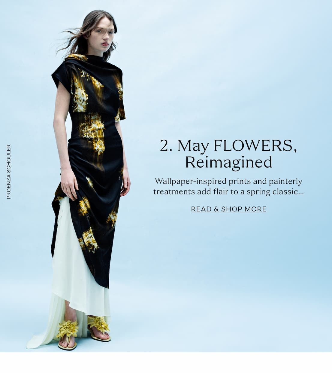 mayflowers_img
