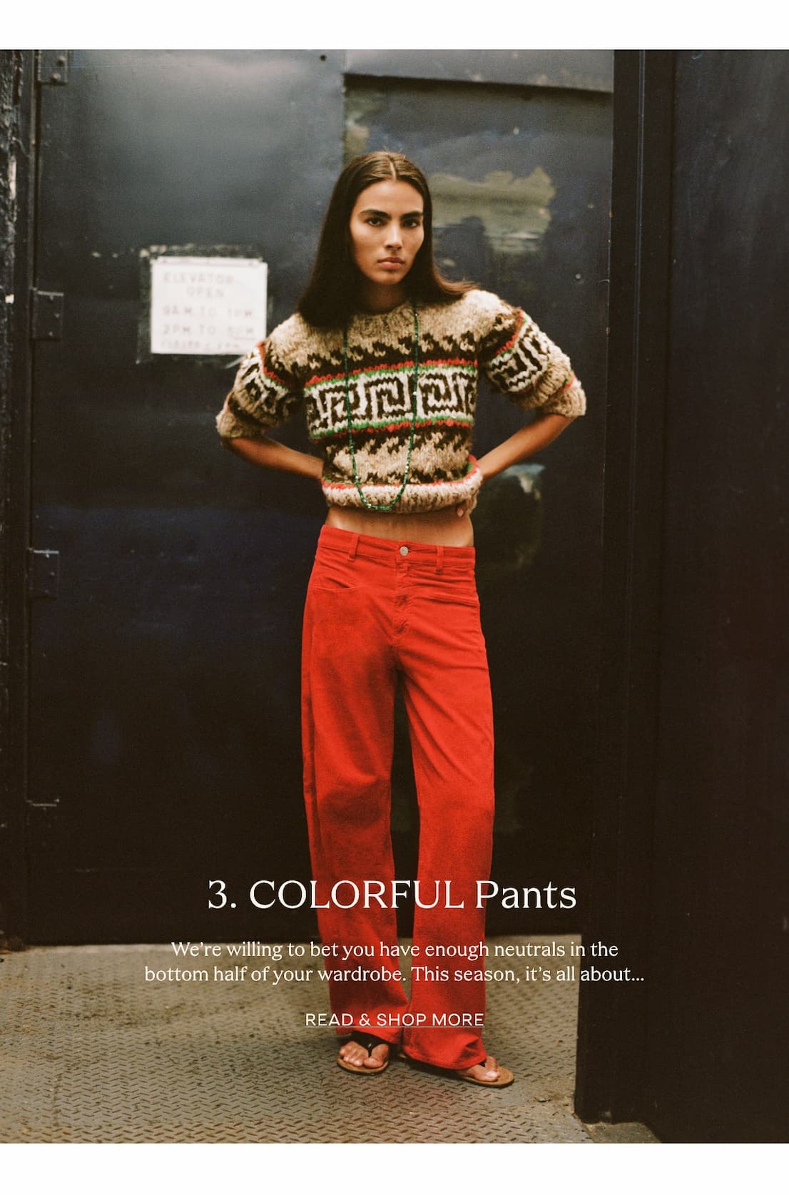 colorfulpants_img