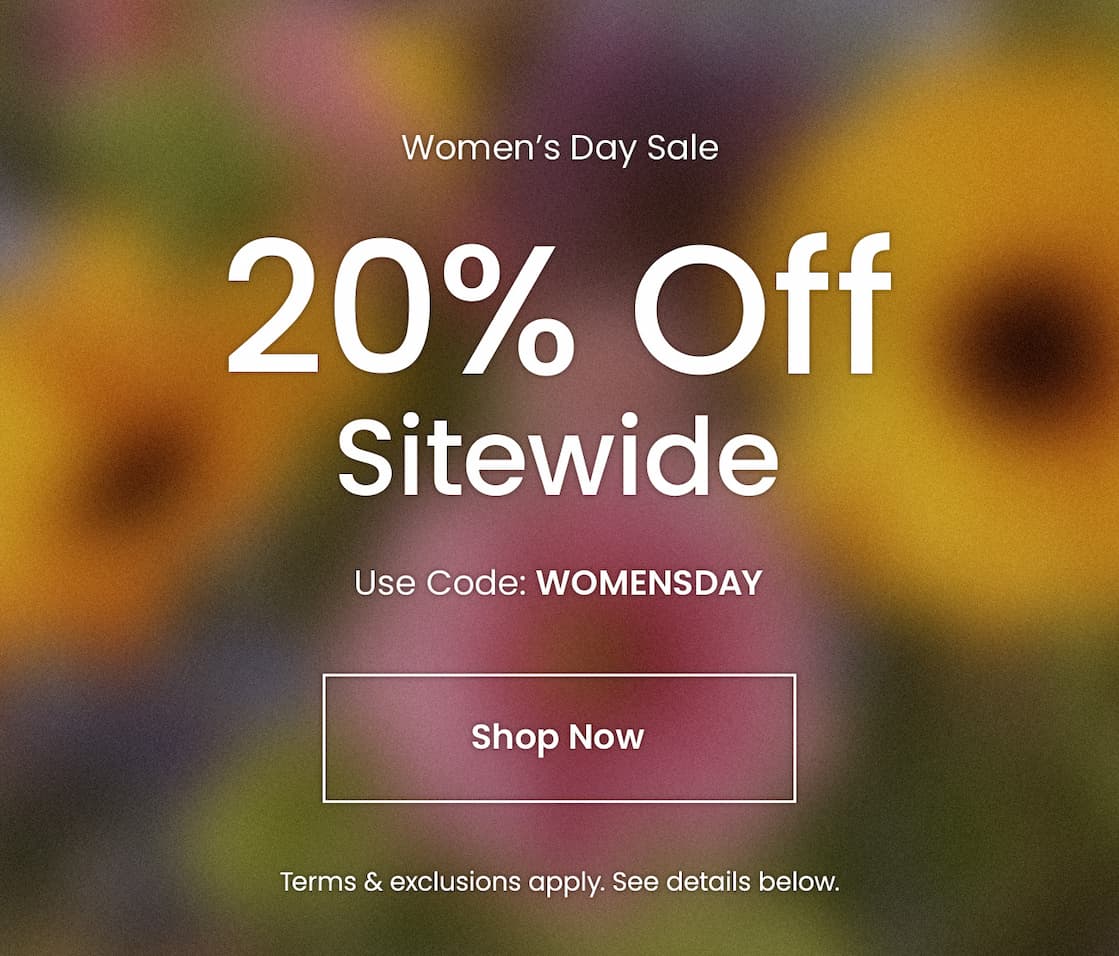 20_Percent_Off_Sitewide