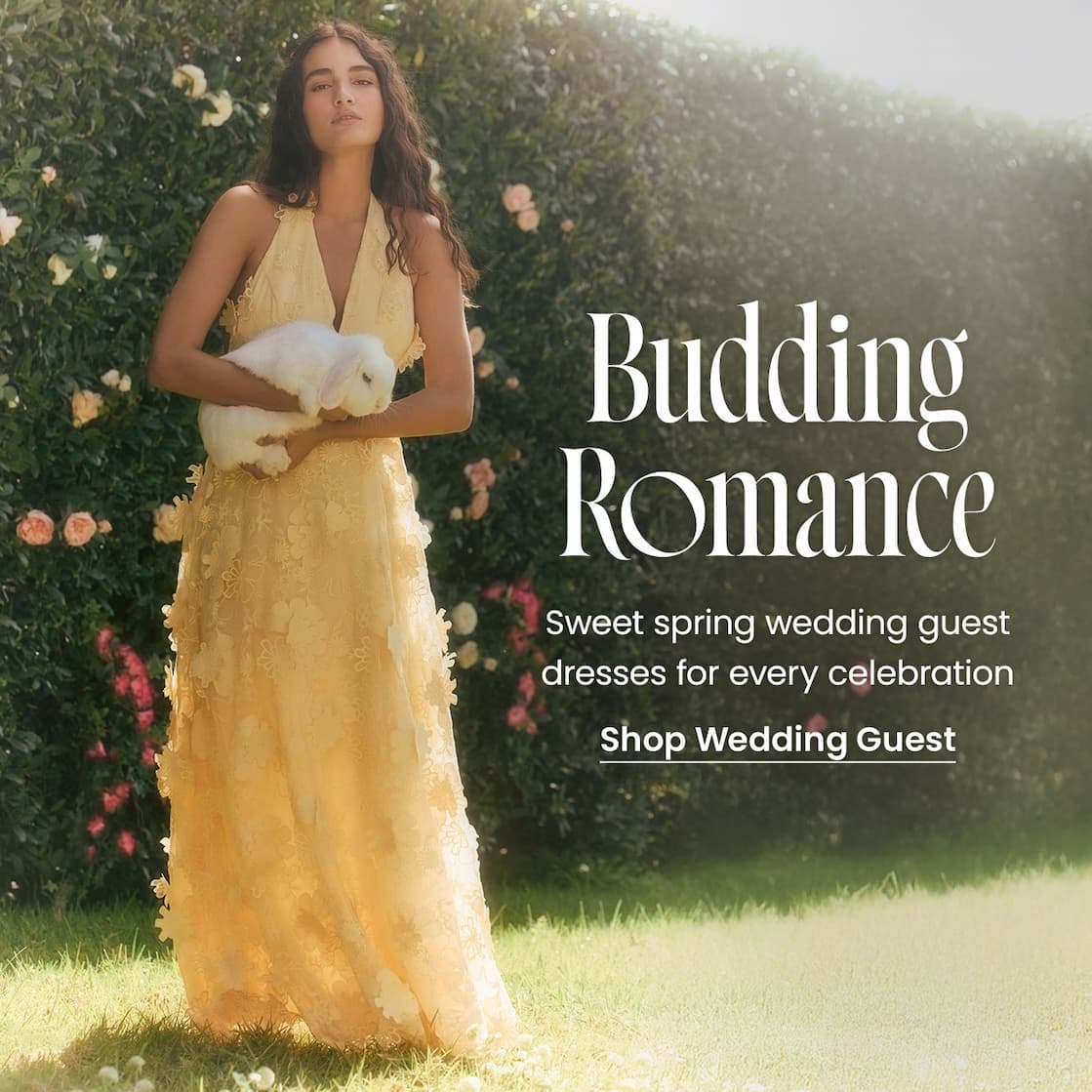 Shop_Wedding_Guest