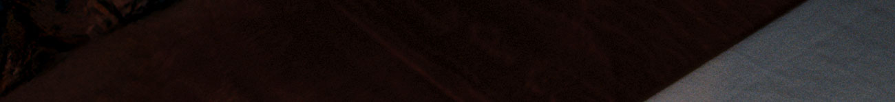 body_01