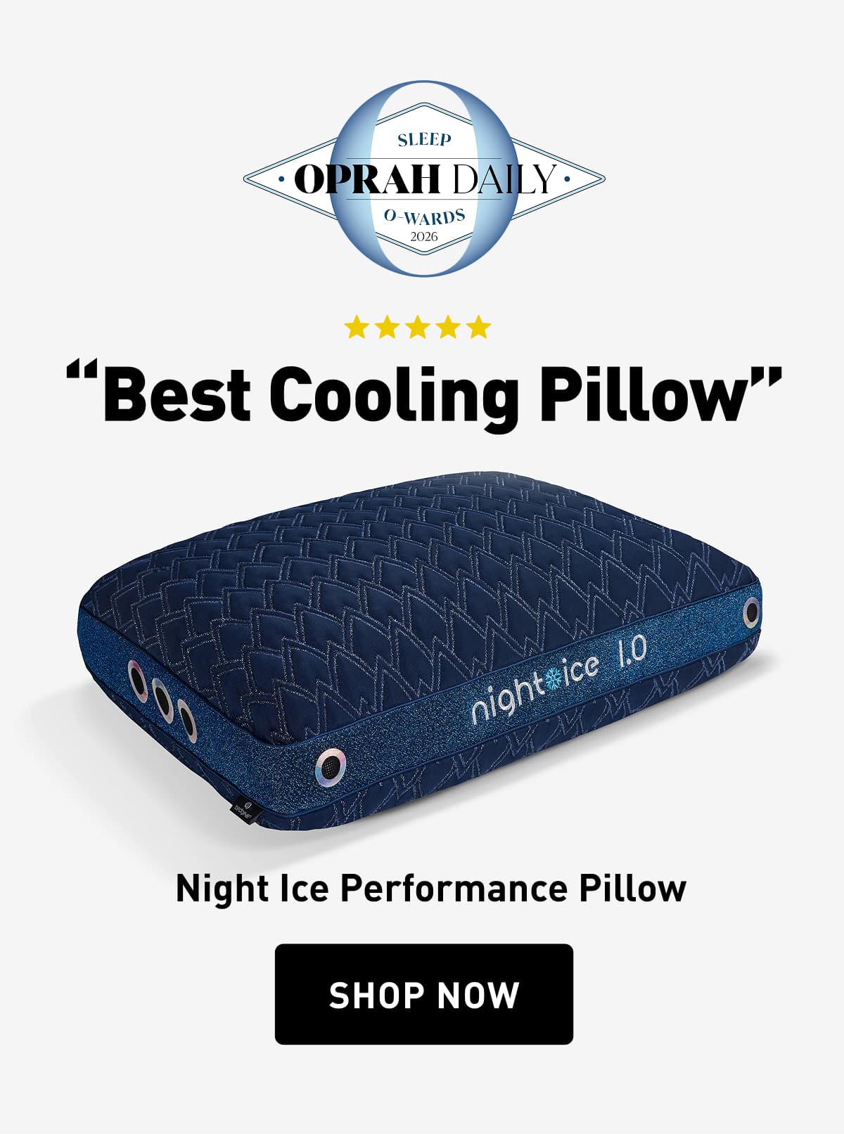 Night Ice Performance Pillow