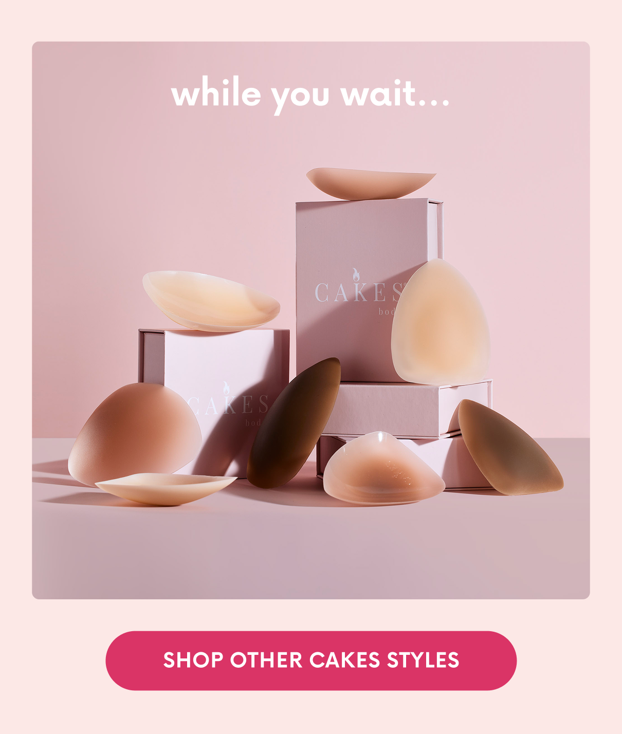 SHOP OTHER CAKES STYLES