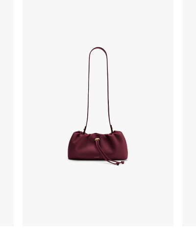 Mini Dia Bag Cherry