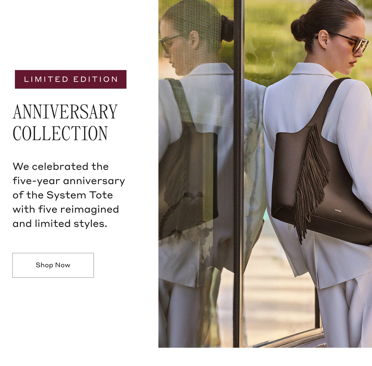 LIMITED EDITION ANNIVERSARY COLLECTION We celebrated the five-year anniversary of the System Tote with five reimagined and limited styles. Shop Now