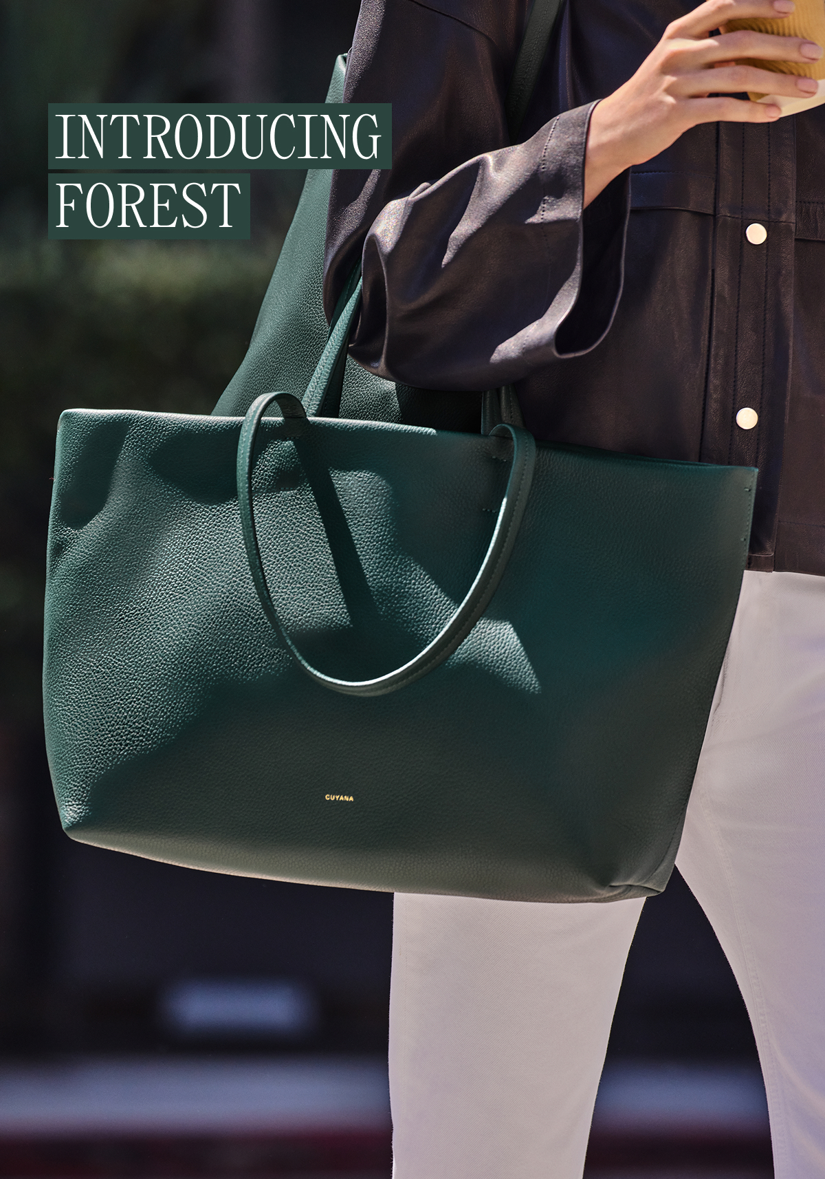 INTRODUCING FOREST