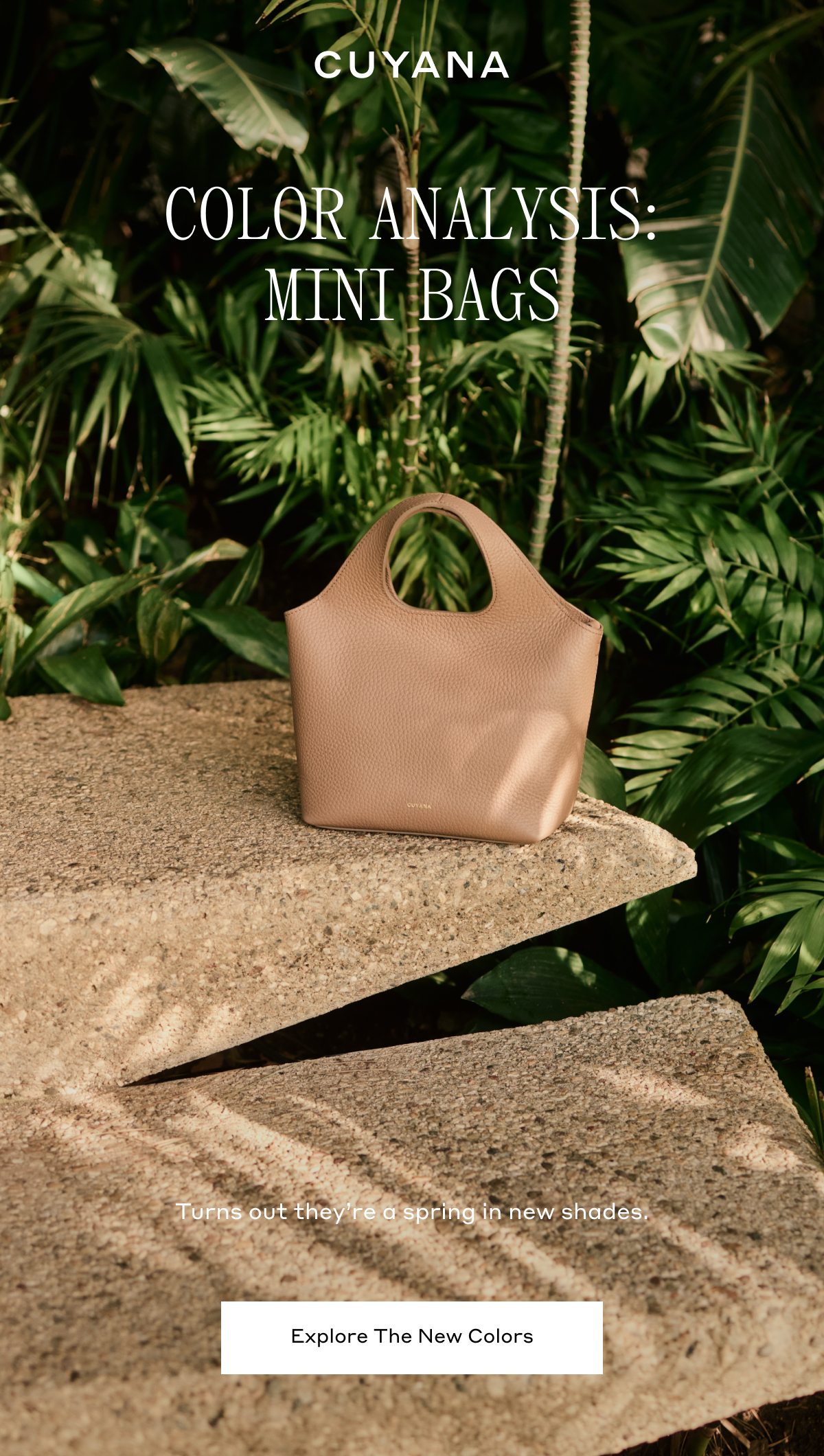 CUYANA COLOR ANALYSIS: MINI BAGS Turns our they're a spring in new shades. Explore The New Colors