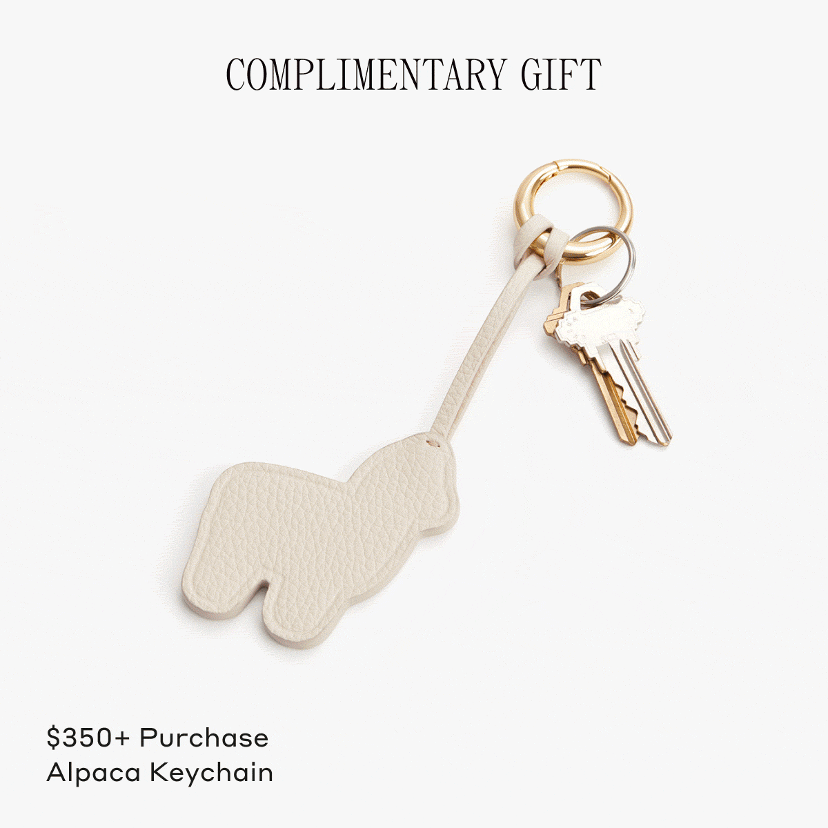 Complimentary Gift With Qualifying Purchase