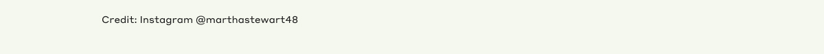 Credit: Instagram @marthastewart48